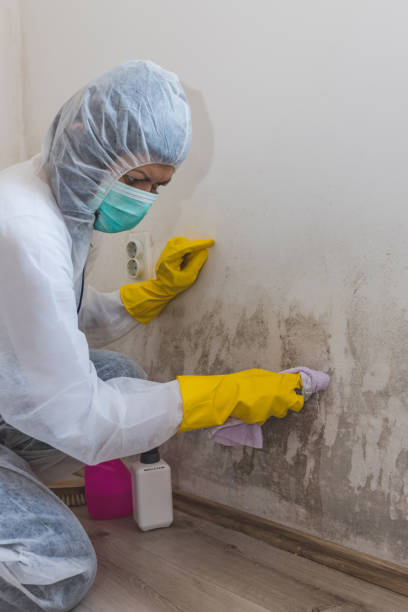  Sunriver, OR Mold Removal Pros
